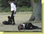 Iago 'finds' Roderigo slain